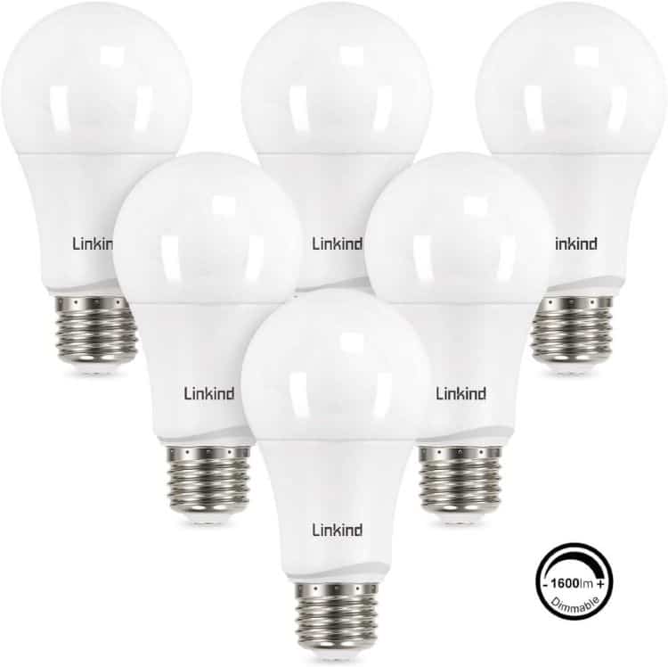 ways to save energy include these LED light bulbs