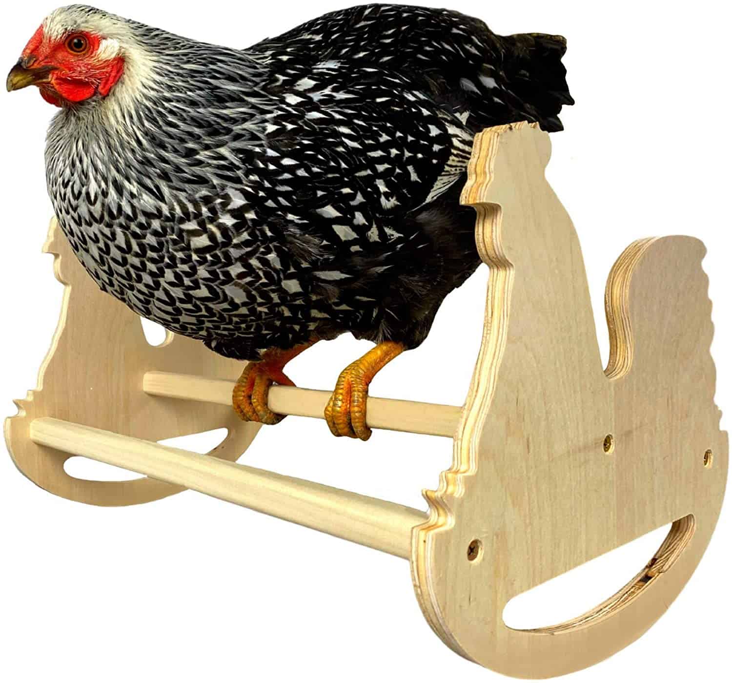 a rocking horse roosting bar is a fun toy for a chicken