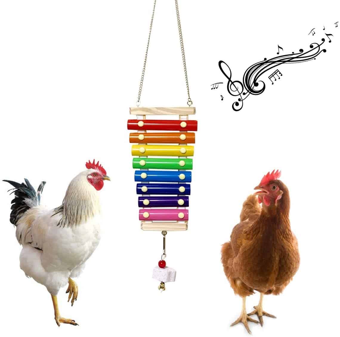 chicken enrichment toys include this chicken xylophone