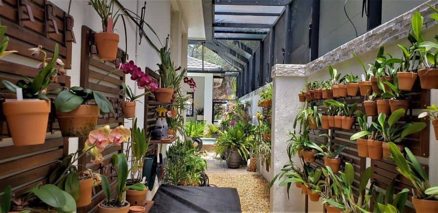 an outdoor hallway filled with orchids and other tropical plants