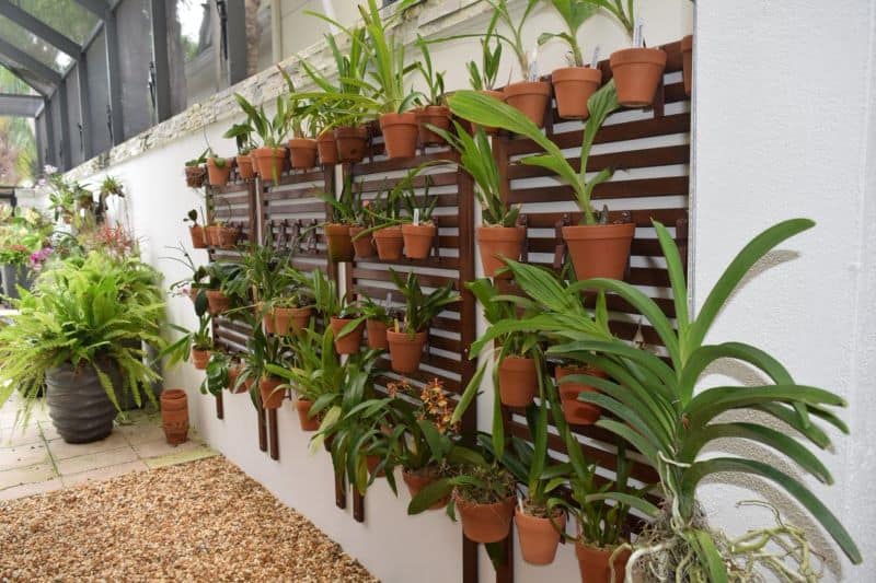 potted plants attached to the wall with wooden slats