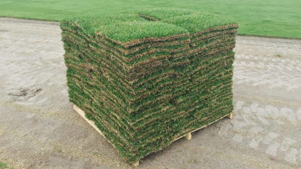 a pallet of turf grass sod before a lawn installation