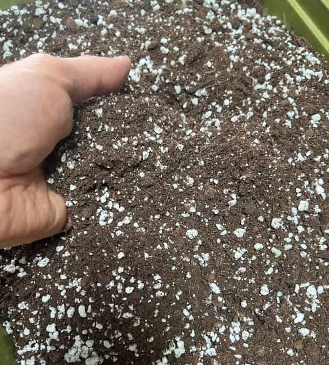 potting mix and perlite blend for houseplants
