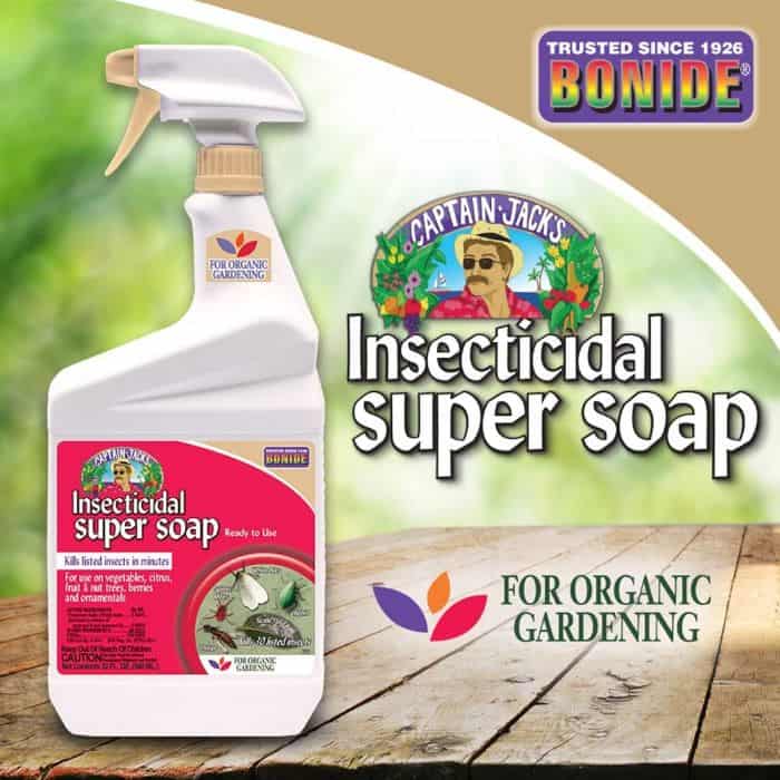 a bottle of Captain Jack's Insecticidal Soap