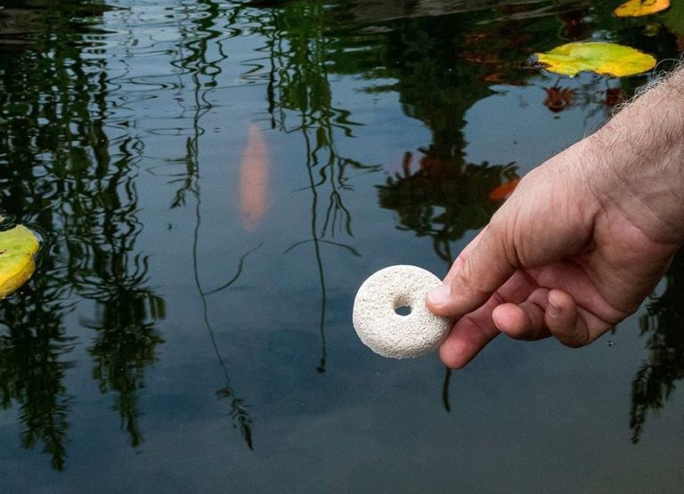 How Do Mosquito Dunks Work? BTI controls the larvae HG&H