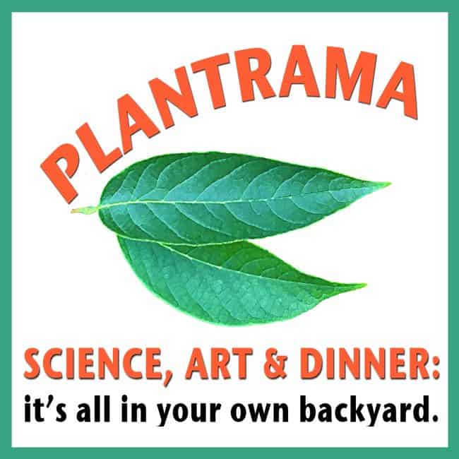 plantrama best gardening podcast