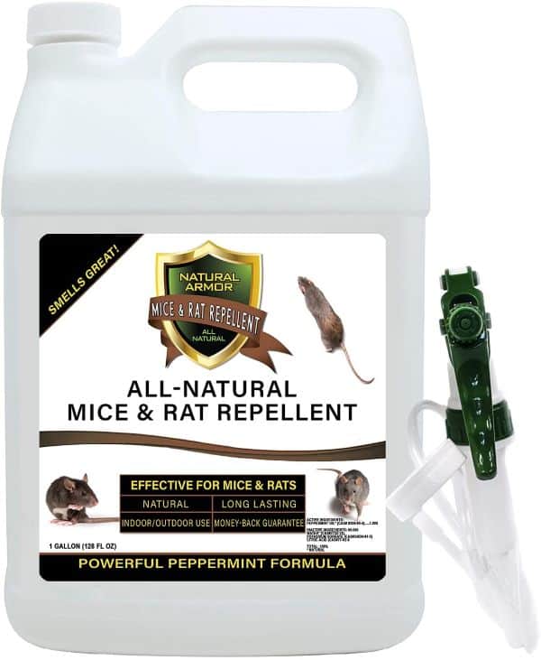 natural armor mice and rat repellent