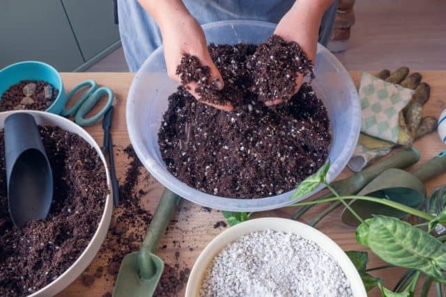 make your own houseplant soil mix
