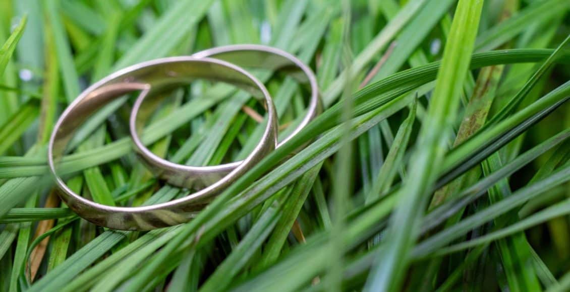 two rings lost in a grass lawn