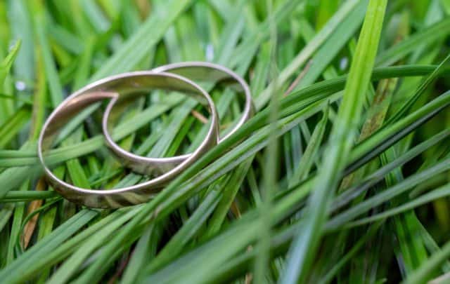 two rings lost in a grass lawn