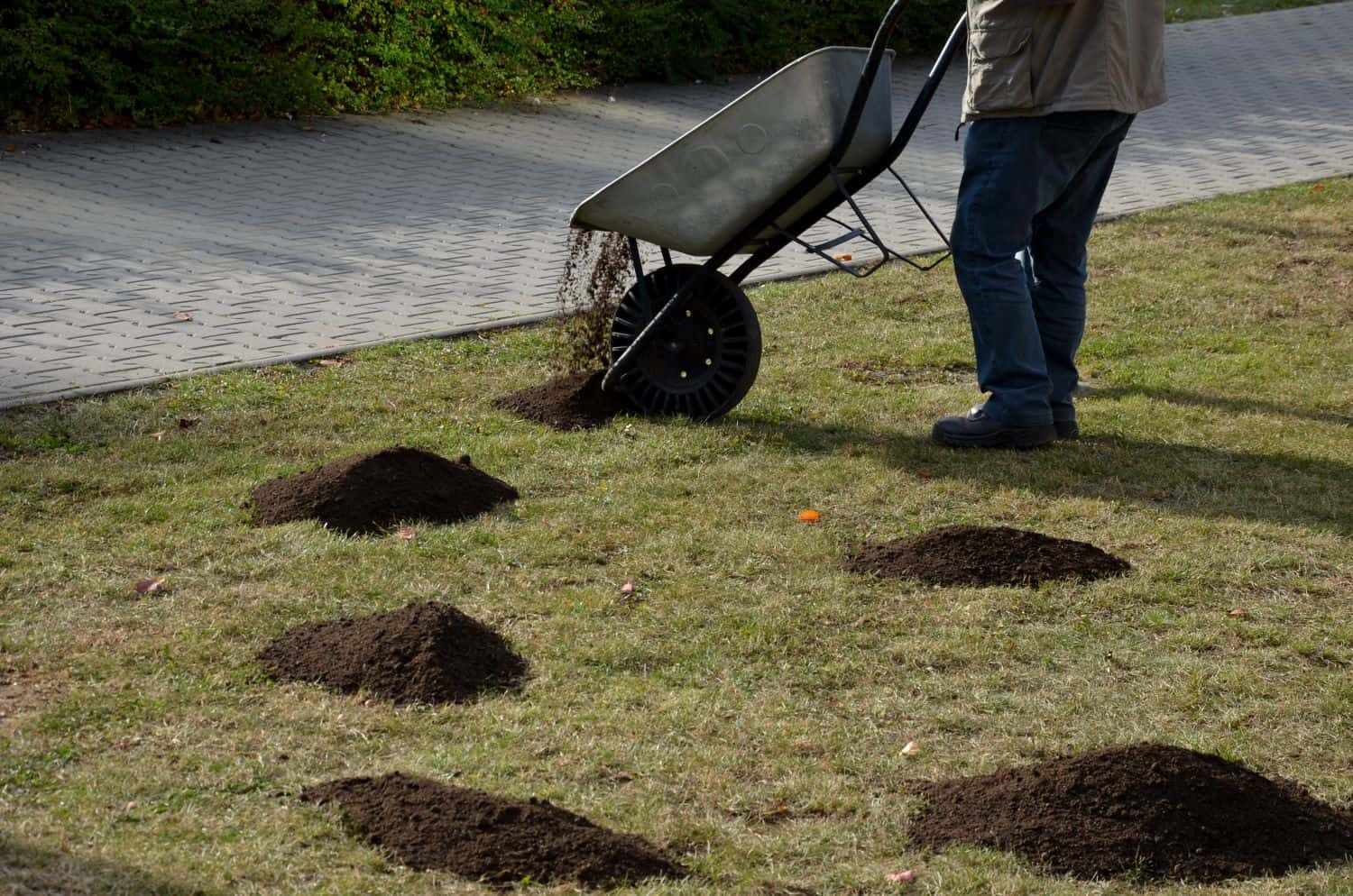 how to top dress your lawn with compost