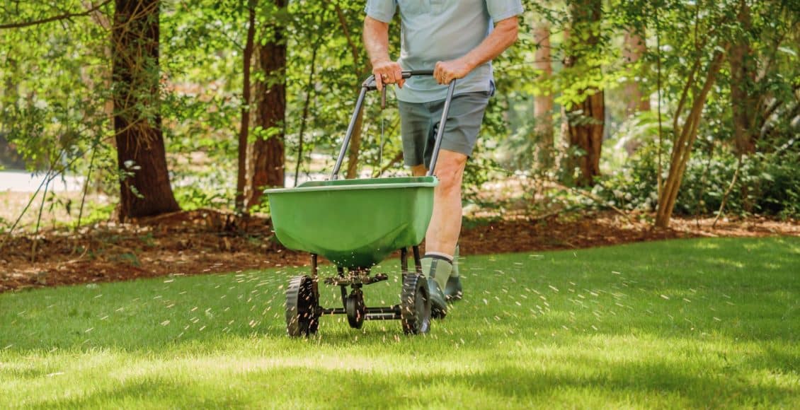 lawn fertilization is applied in the spring and fall