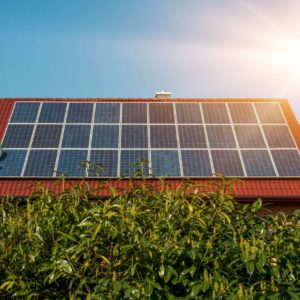 off grid solar panels for alternative energy home or homestead system