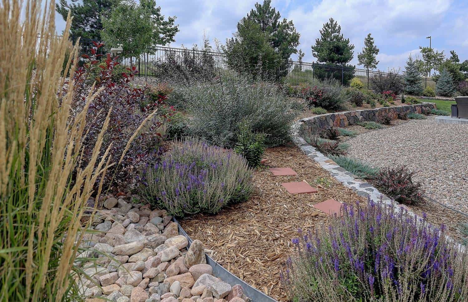 a xeriscape yard that uses less water