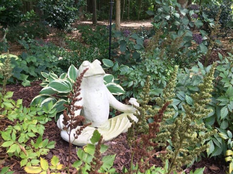 perfect garden with frog statue