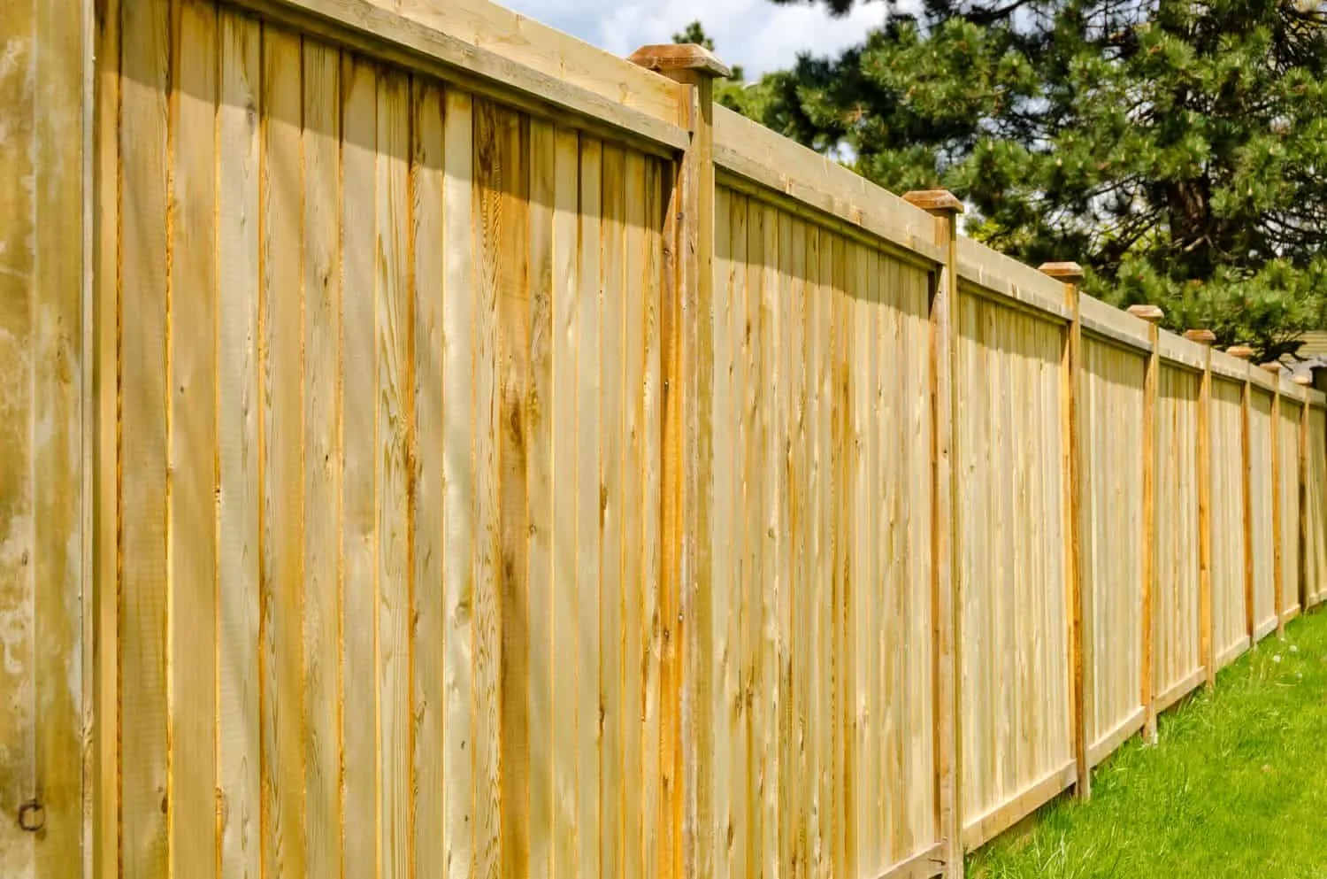Should You Install A Garden Fence?