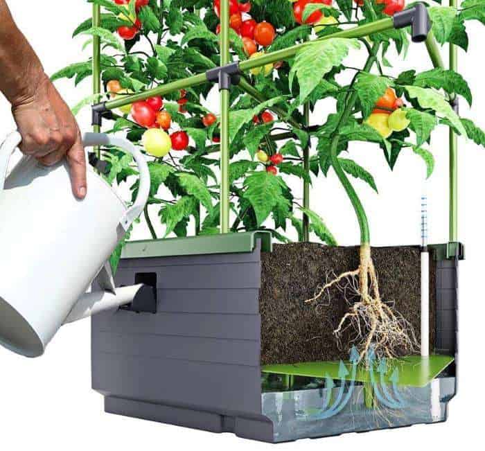 biogreen city jungle planter for growing tomatoes