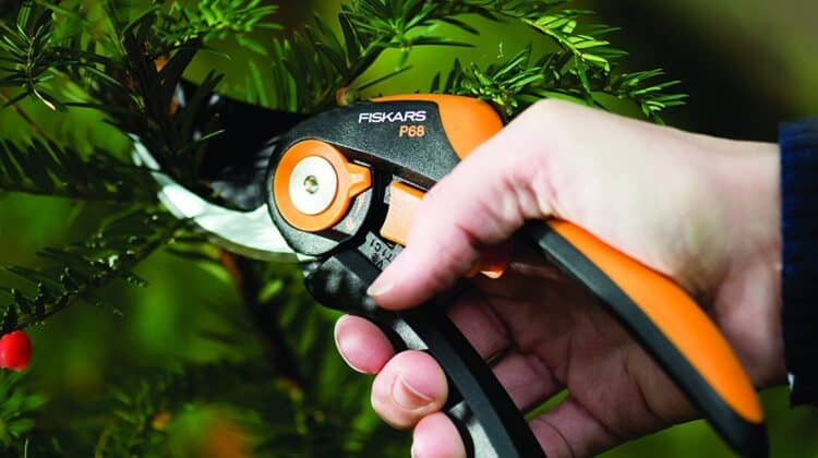 fiskars bypass garden pruners