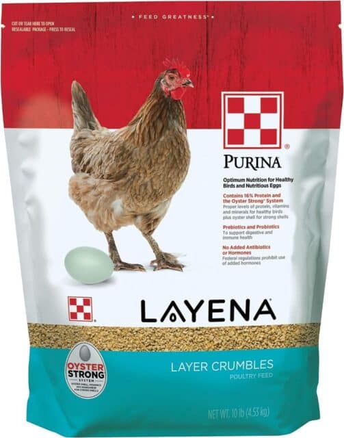 purina layena food for layer chickens