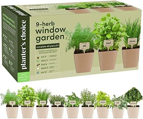 9 herb window garden kit