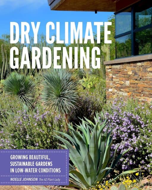 dry climate gardening noelle johnson