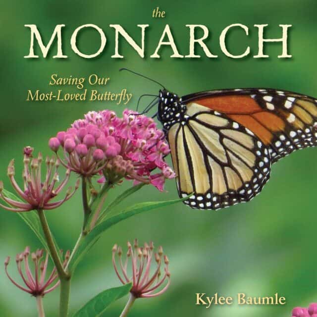 the monarch book by kylee baumle