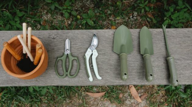 garden tools on bench