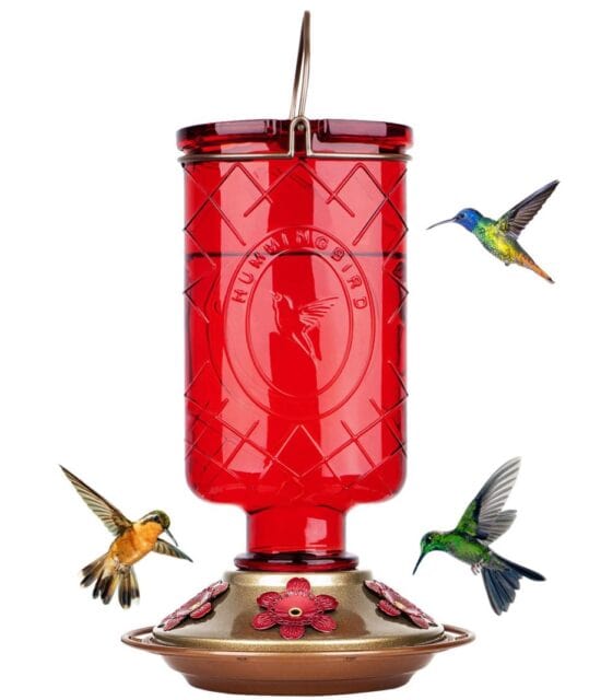 red glass hummingbird feeder