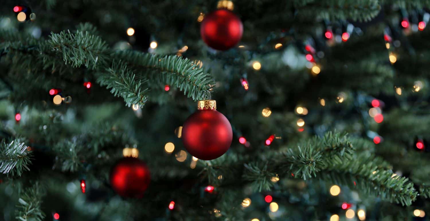 Caring for Christmas Trees: How to Keep Your Christmas Tree Alive Longer