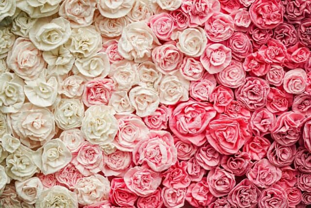 background of floral roses