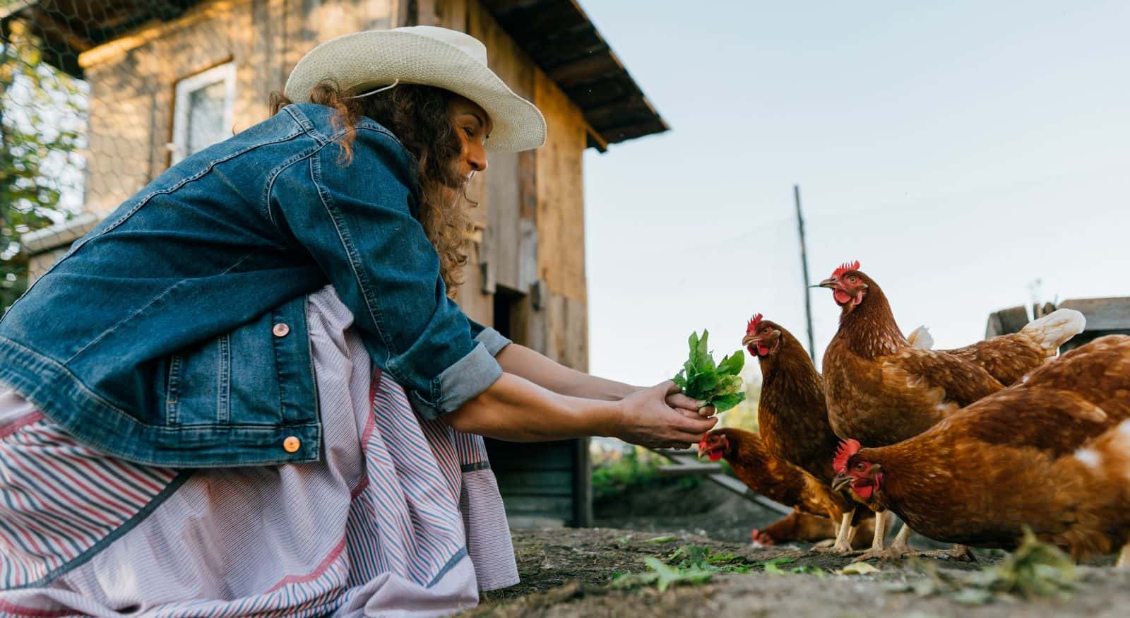 How to Make Money Homesteading