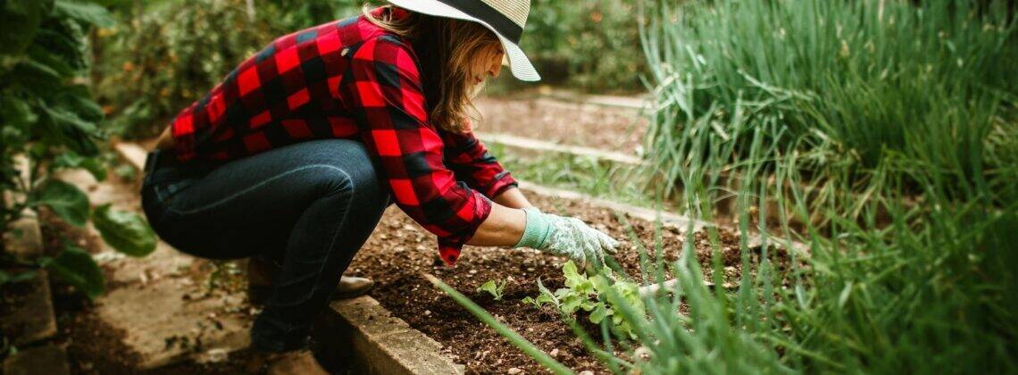 woman in garden with healthy soil and clean water