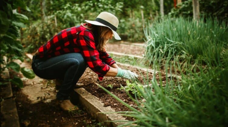 woman in garden with healthy soil and clean water