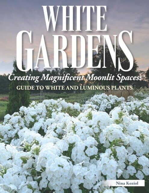 white gardens book is a great gift for gardeners